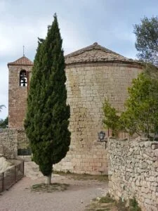 Le cyprès