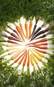 Carottes