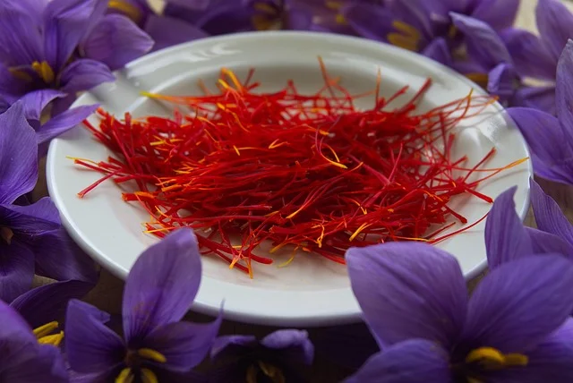Le crocus Sativus
