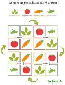 Rotation des cultures