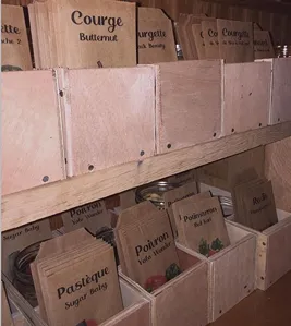Cornucopia