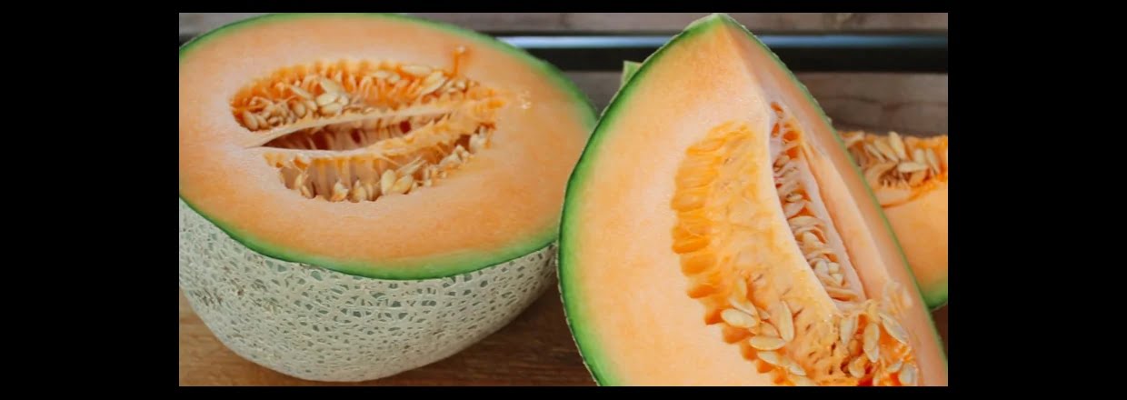 Graines de melon