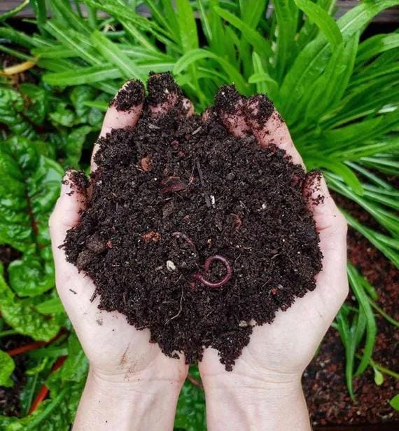 Le compost
